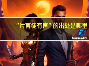 “片言徒有声”的出处是哪里