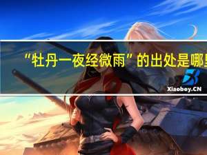 “牡丹一夜经微雨”的出处是哪里