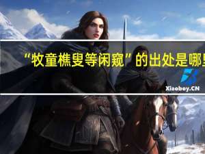 “牧童樵叟等闲窥”的出处是哪里