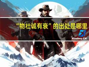 “物壮诚有衰”的出处是哪里