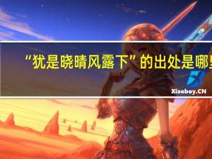 “犹是晓晴风露下”的出处是哪里