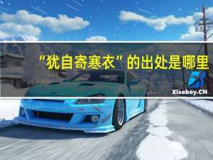 “犹自寄寒衣”的出处是哪里