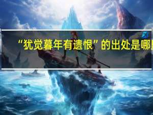 “犹觉暮年有遗恨”的出处是哪里