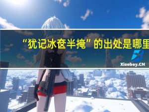 “犹记冰奁半掩”的出处是哪里