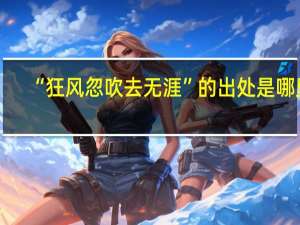 “狂风忽吹去无涯”的出处是哪里