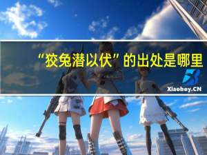 “狡兔潜以伏”的出处是哪里