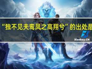 “独不见夫鸾凤之高翔兮”的出处是哪里