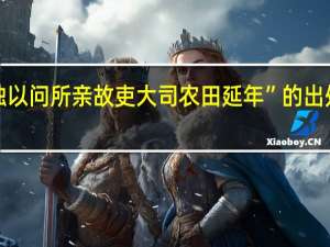 “独以问所亲故吏大司农田延年”的出处是哪里