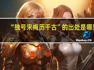 “独号宋梅历千古”的出处是哪里