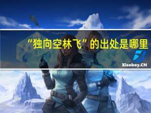 “独向空林飞”的出处是哪里