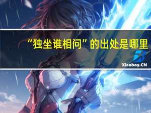 “独坐谁相问”的出处是哪里
