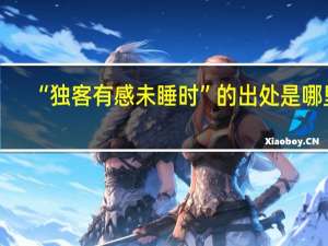 “独客有感未睡时”的出处是哪里