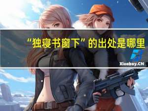 “独寝书窗下”的出处是哪里