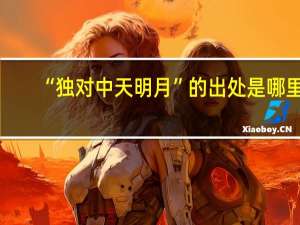 “独对中天明月”的出处是哪里