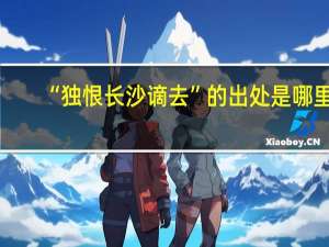 “独恨长沙谪去”的出处是哪里