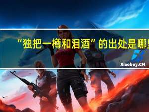“独把一樽和泪酒”的出处是哪里