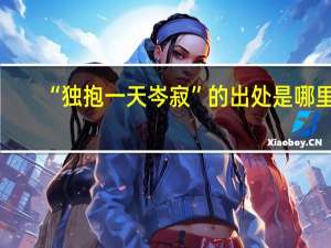 “独抱一天岑寂”的出处是哪里