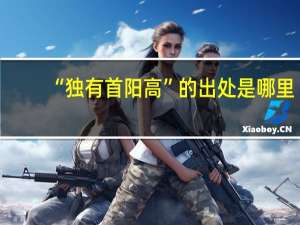 “独有首阳高”的出处是哪里