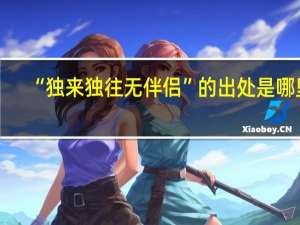 “独来独往无伴侣”的出处是哪里