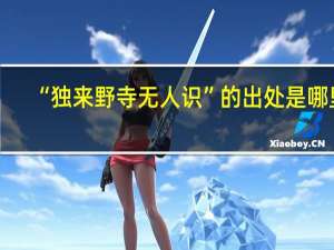 “独来野寺无人识”的出处是哪里