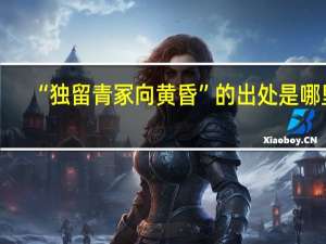“独留青冢向黄昏”的出处是哪里