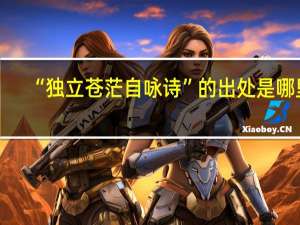 “独立苍茫自咏诗”的出处是哪里