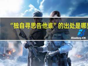 “独自寻思告他谁”的出处是哪里