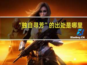 “独自寻芳”的出处是哪里