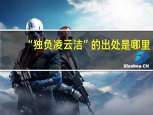“独负凌云洁”的出处是哪里