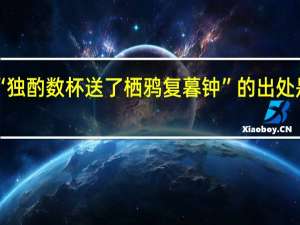 “独酌数杯送了栖鸦复暮钟”的出处是哪里