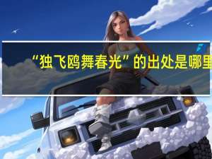 “独飞鸥舞春光”的出处是哪里