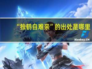 “独鹤自难亲”的出处是哪里