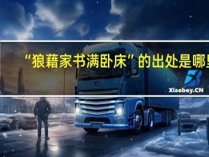 “狼藉家书满卧床”的出处是哪里