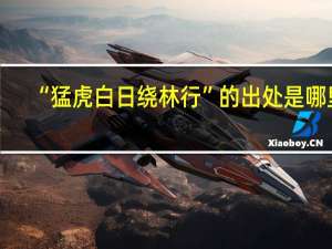 “猛虎白日绕林行”的出处是哪里