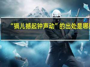 “猧儿撼起钟声动”的出处是哪里
