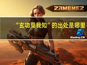 “玄功莫我知”的出处是哪里