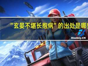 “玄晏不堪长抱病”的出处是哪里