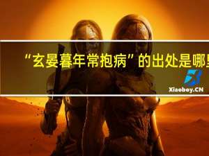 “玄晏暮年常抱病”的出处是哪里