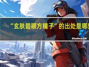 “玄肤碧眼方瞳子”的出处是哪里