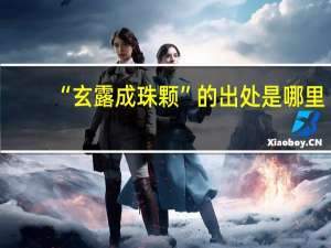 “玄露成珠颗”的出处是哪里