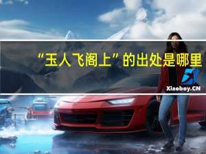 “玉人飞阁上”的出处是哪里