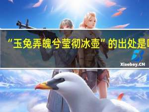 “玉兔弄魄兮莹彻冰壶”的出处是哪里