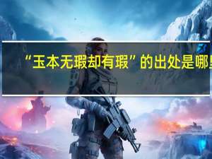 “玉本无瑕却有瑕”的出处是哪里