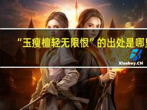 “玉瘦檀轻无限恨”的出处是哪里