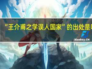 “王介甫之学误人国家”的出处是哪里
