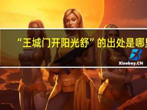 “王城门开阳光舒”的出处是哪里