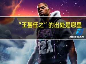 “王甚任之”的出处是哪里