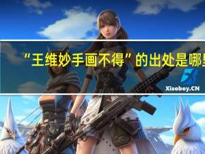“王维妙手画不得”的出处是哪里