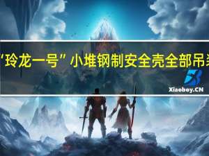 “玲龙一号”小堆钢制安全壳全部吊装就位