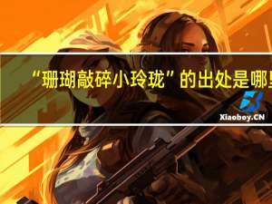 “珊瑚敲碎小玲珑”的出处是哪里